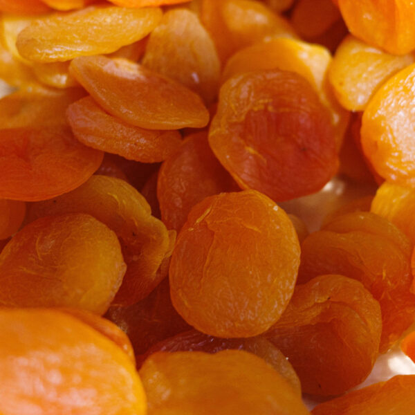 Apricot