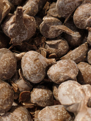 Dipped peanuts