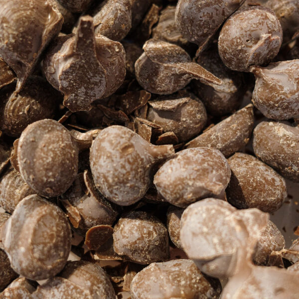Dipped peanuts